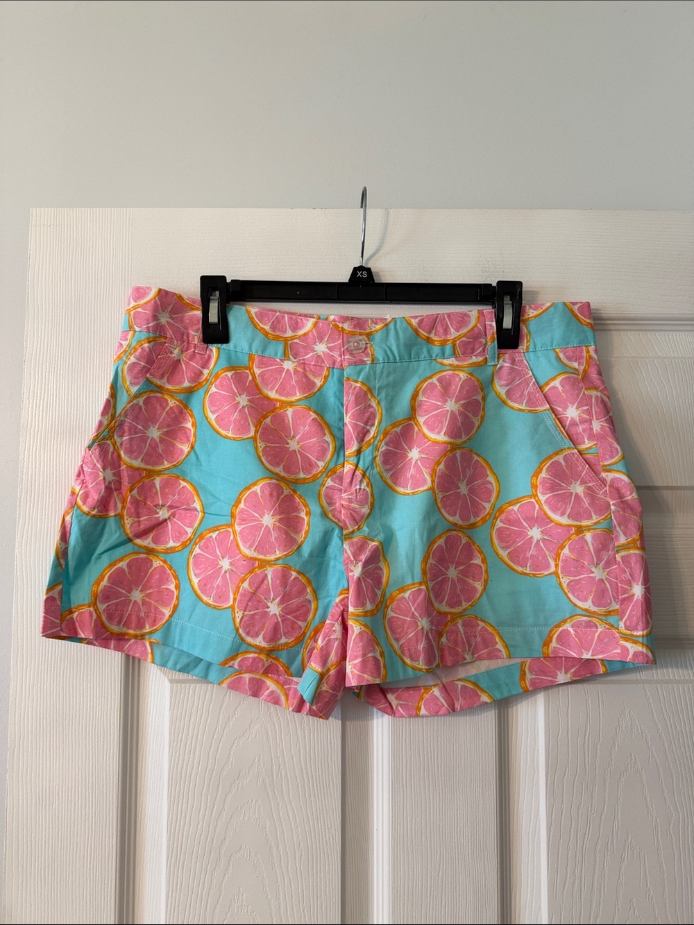 Lauren James Pink Citrus Print Shorts with Aqua Base size L brand new